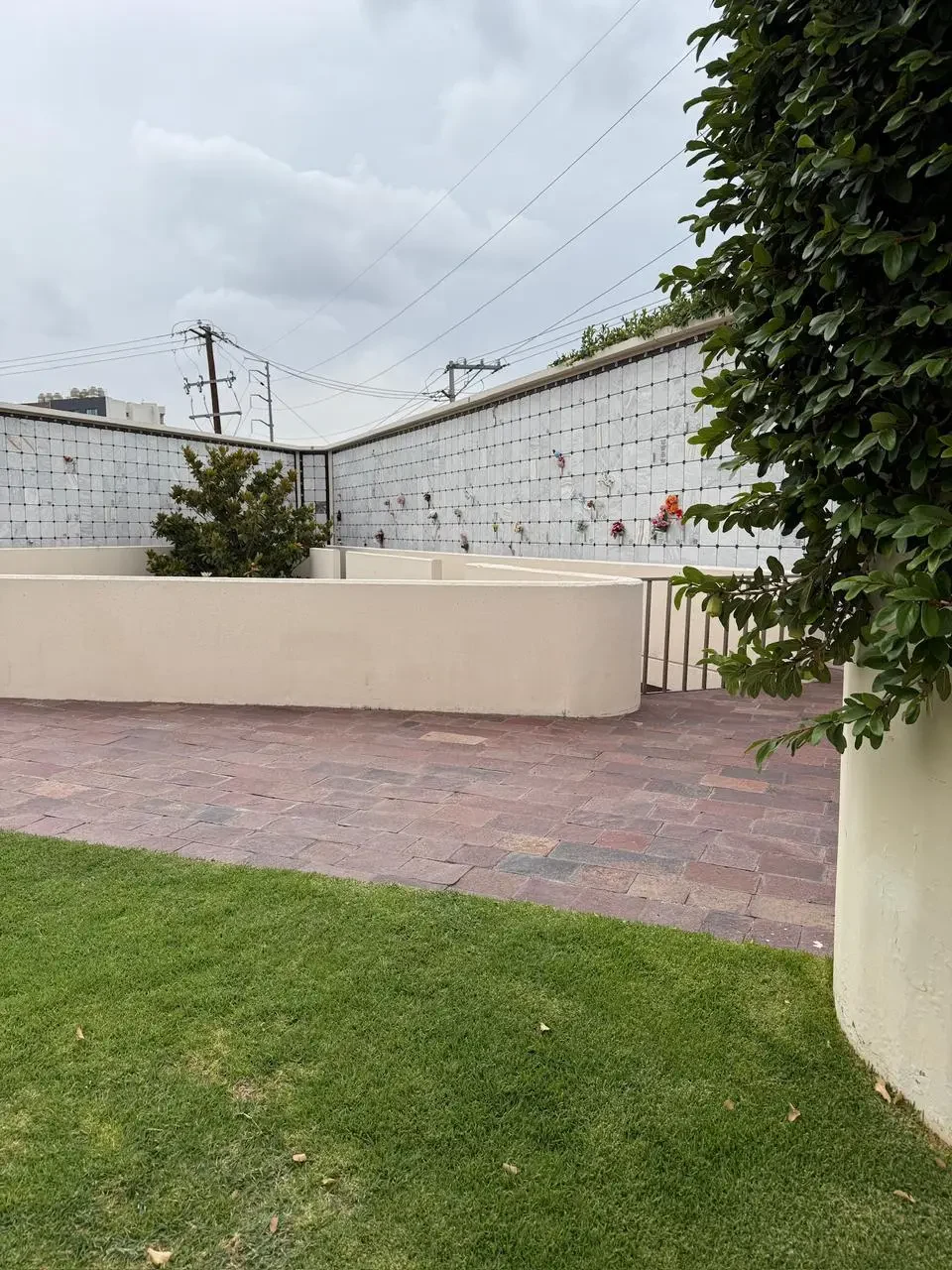 Sucursal Tangassi Ventura en San Luis Potosí
